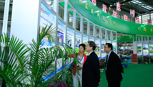 關于綠然展業(yè)